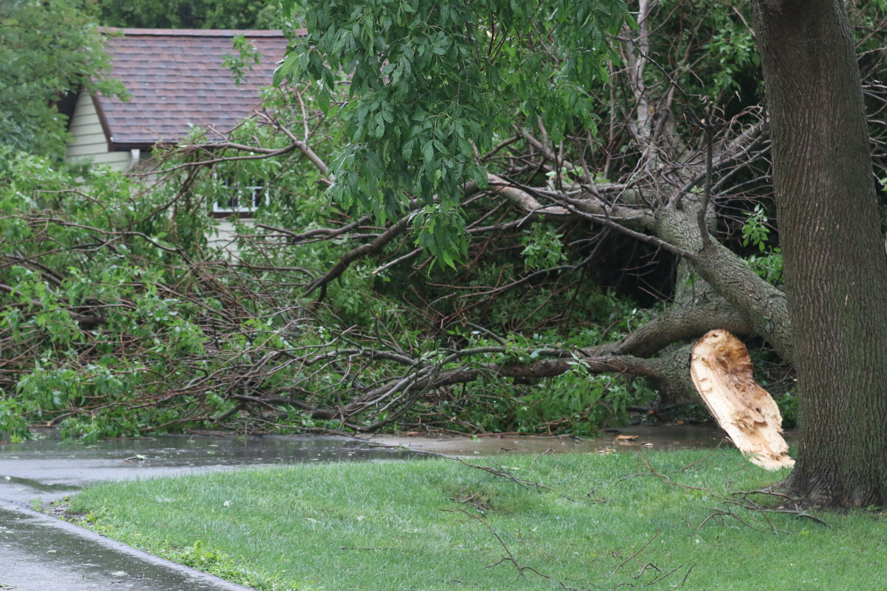 RiverOaks_5838.JPG